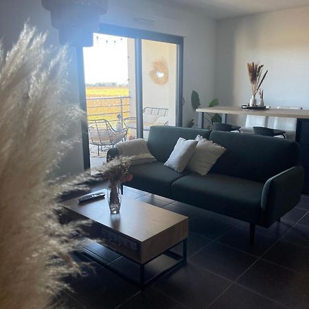 Appartement Vue Vigne Perpiñán Exterior foto